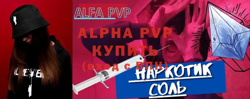 A PVP СК  Каменка 